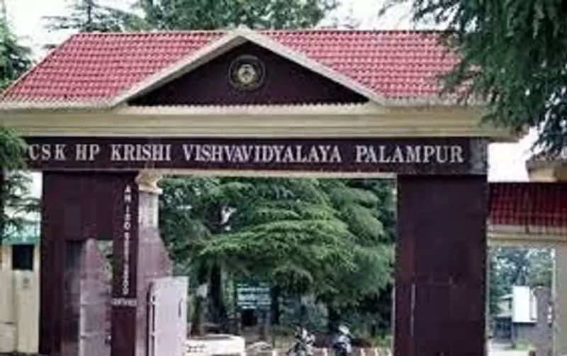 Himachal: सदस्यों ने फसलों में विविधता लाने के उपायों की समीक्षा की Himachal: सदस्यों ने फसलों में विविधता लाने के उपायों की समीक्षा की