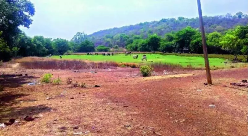 Andhra: मछली पकड़ने के बंदरगाह के लिए भूमि अधिग्रहण प्रक्रिया चल रही Andhra: मछली पकड़ने के बंदरगाह के लिए भूमि अधिग्रहण प्रक्रिया चल रही