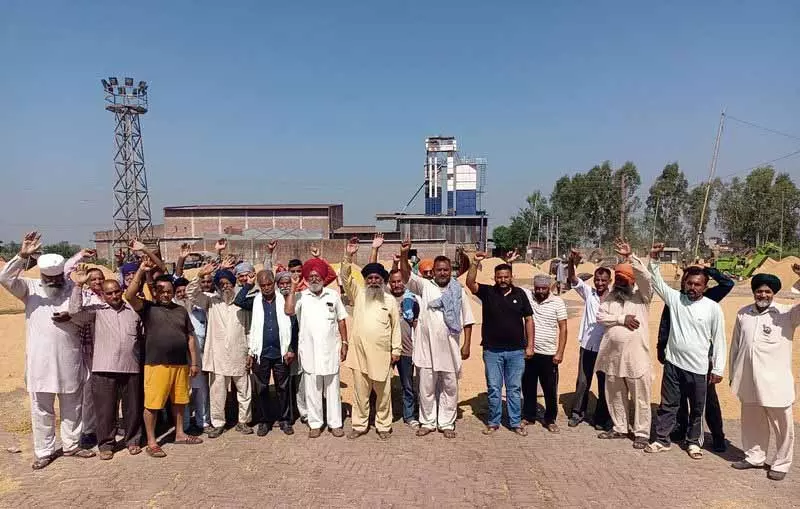 Jalandhar: धान की खरीद न होने से किसान नाराज Jalandhar: धान की खरीद न होने से किसान नाराज