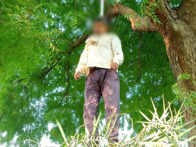 Sidhi: अज्ञात व्यक्ति का पेड़ पर लटका मिला शव, जांच कर रही पुलिस Sidhi: अज्ञात व्यक्ति का पेड़ पर लटका मिला शव, जांच कर रही पुलिस