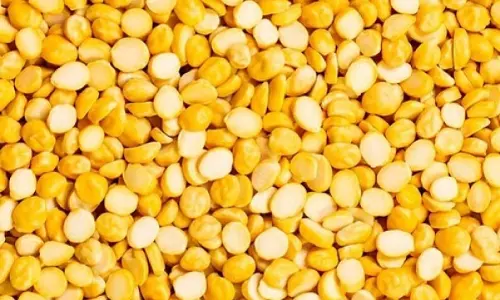 पिछले तीन महीनों में अरहर, उड़द की कीमतों में लगभग 10 प्रतिशत की गिरावट पिछले तीन महीनों में अरहर, उड़द की कीमतों में लगभग 10 प्रतिशत की गिरावट