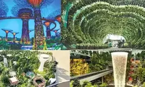 कलैगनार शताब्दी पार्क: प्रकृति प्रेमियों के लिए एक जगह कलैगनार शताब्दी पार्क: प्रकृति प्रेमियों के लिए एक जगह