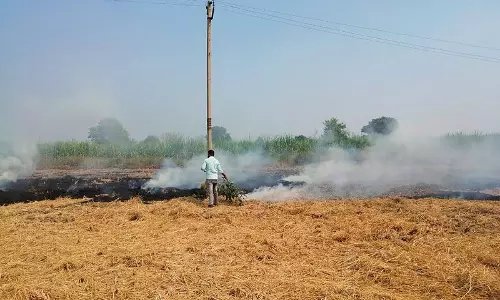 Haryana : पलवल में पराली जलाने पर जुर्माना