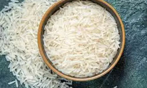 PMGKAY के तहत ओडिशा दिसंबर 2028 तक मुफ्त चावल की आपूर्ति बढ़ाएगा
