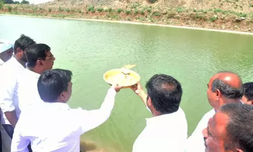 कडप्पा में 15,000 एकड़ भूमि की सिंचाई के लिए GNSS परियोजना से पानी छोड़ा गया