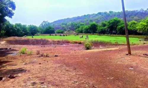 Andhra: मछली पकड़ने के बंदरगाह के लिए भूमि अधिग्रहण प्रक्रिया चल रही Andhra: मछली पकड़ने के बंदरगाह के लिए भूमि अधिग्रहण प्रक्रिया चल रही