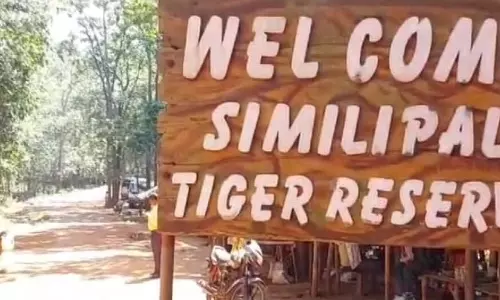 Odisha: सिमिलिपाल टाइगर रिजर्व पर्यटकों के लिए फिर से खुल गया