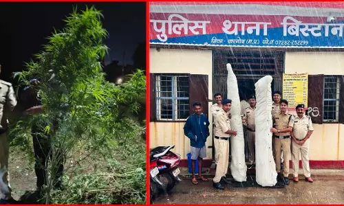 मिर्च की फसलों के बीच जब पुलिस की टीम पहुंची तो देखकर रह गई दंग, क्या पता चला? मिर्च की फसलों के बीच जब पुलिस की टीम पहुंची तो देखकर रह गई दंग, क्या पता चला?