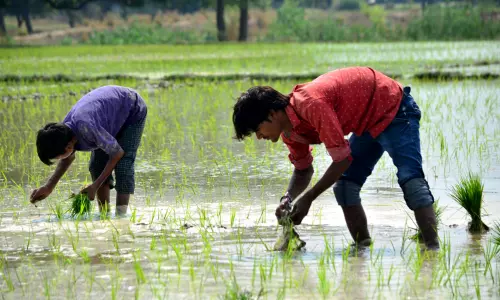 Jalore: बांकली बांध से फसल रबी के लिए जल वितरण एवं उपयोगिता के लिए बैठक 15 अक्टूबर को Jalore: बांकली बांध से फसल रबी के लिए जल वितरण एवं उपयोगिता के लिए बैठक 15 अक्टूबर को