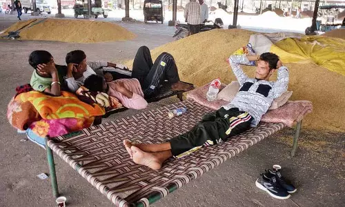 Ludhiana: अनाज मंडियों में धान की अधिकता, 7 हजार मीट्रिक टन स्टॉक की आवक, 3% की खरीद हुई
