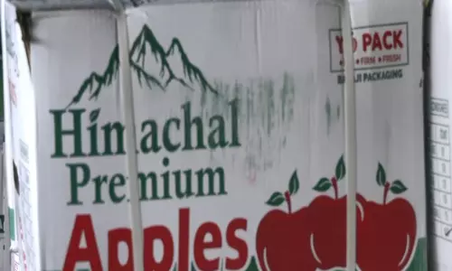 Himachal Pradesh की सेब अर्थव्यवस्था इस सीजन में फल-फूल रही, फिर भी उत्पादन में आई गिरावट