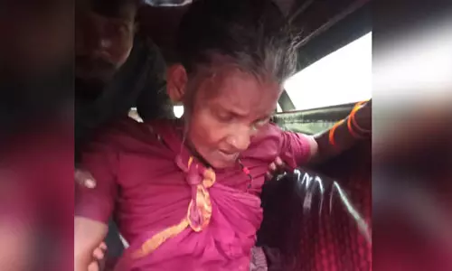 Pulpally: जंगली सूअर के हमले में बुजुर्ग महिला घायल
