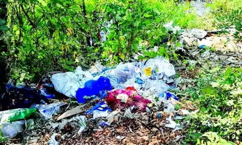 Margao के बाहरी इलाकों में कूड़े के ढेर