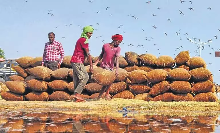 किसानों की ‘कटनी-छटनी’ की समस्या को खत्म करने के लिए AI-आधारित टूल