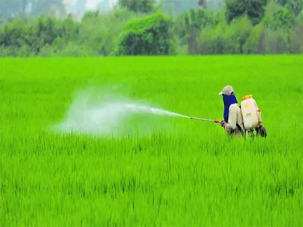 Super Crop सेफ लिमिटेड ने 46 नए मॉलिक्यूल पंजीकरण के साथ पोर्टफोलियो का विस्तार किया