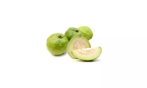 Green guava: गुणों का भंडार है हरा अमरूद Green guava: गुणों का भंडार है हरा अमरूद