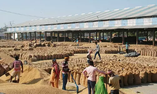 Haryana : धान उठान में देरी से नाराजगी मिलों ने शुरू