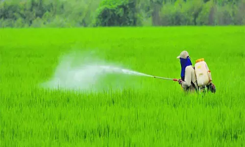 Super Crop सेफ लिमिटेड ने 46 नए मॉलिक्यूल पंजीकरण के साथ पोर्टफोलियो का विस्तार किया Super Crop सेफ लिमिटेड ने 46 नए मॉलिक्यूल पंजीकरण के साथ पोर्टफोलियो का विस्तार किया