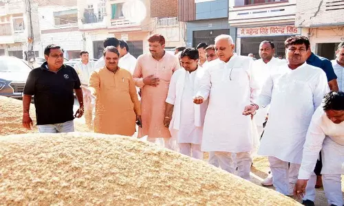 Haryana: विधायक गंगवा ने किया बरवाला मंडी का दौरा Haryana: विधायक गंगवा ने किया बरवाला मंडी का दौरा