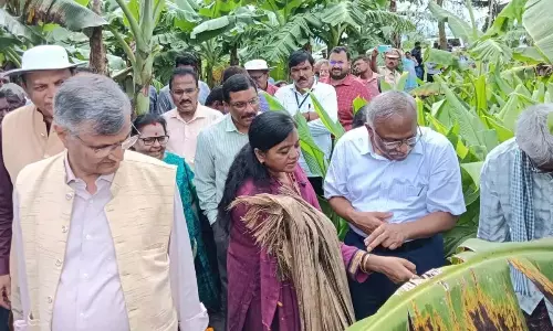 Andhra: नीति आयोग की टीम ने प्राकृतिक खेती के खेतों का दौरा किया Andhra: नीति आयोग की टीम ने प्राकृतिक खेती के खेतों का दौरा किया