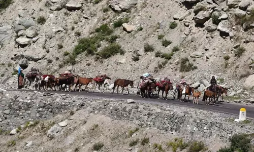 J&K: वाहनों की खराबी से श्रीनगर-जम्मू राष्ट्रीय राजमार्ग पर यातायात बाधित