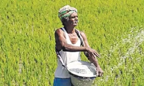 तेलंगाना में डिजिटल फसल सर्वेक्षण में देरी के लिए 319 AEO को नोटिस जारी