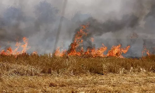 Haryana : करनाल प्रशासन ने पराली जलाने वाले हॉटस्पॉट की पहचान की