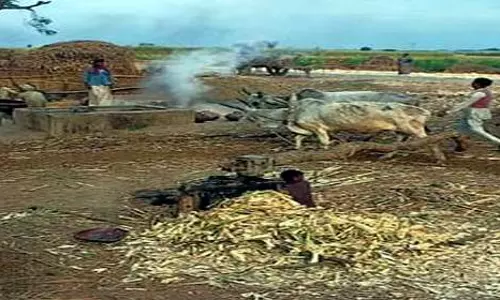 Muzaffarnagar: बिजली विभाग ने कोल्हू परिसरों पर छापा मारा Muzaffarnagar: बिजली विभाग ने कोल्हू परिसरों पर छापा मारा