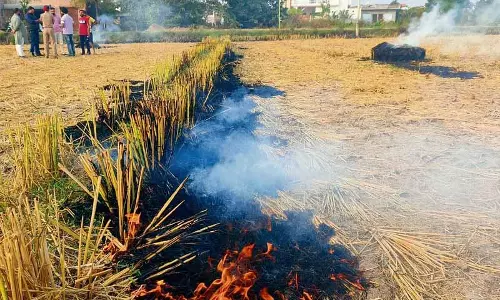 Punjab: नवंबर में शुरू,गेहूं की बुवाई, पराली जलाने के मामले बढ़ने की संभावना Punjab: नवंबर में शुरू,गेहूं की बुवाई, पराली जलाने के मामले बढ़ने की संभावना