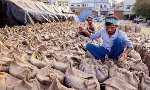 Jalandhar की मंडियों में धान की लिफ्टिंग न होने से किसान चिंतित