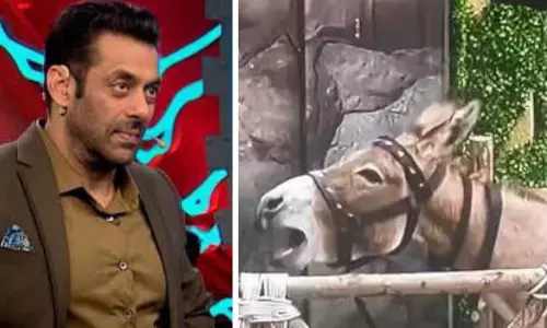 Bigg Boss 18: PFA  ​द्वारा मेकर्स पर पशु उत्पीड़न का आरोप लगाने के बाद गधा गढ़राज रिहा