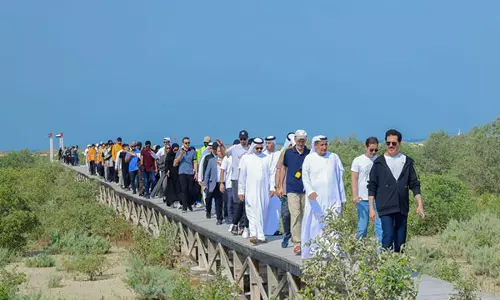 DEWA ने जेबेल अली समुद्री अभयारण्य में 4,500 मैंग्रोव पेड़ लगाए