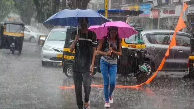 राज्य में बारिश का अनुमान, सात जिलों में yellow alert