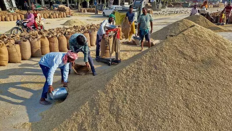 Amritsar: किसानों ने धान का उठान न करने पर सरकार की आलोचना की