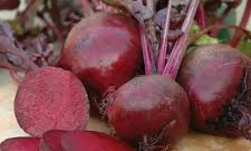 Healthy Recipe:  चुकंदर से बनाएं स्वादिष्ट चीला