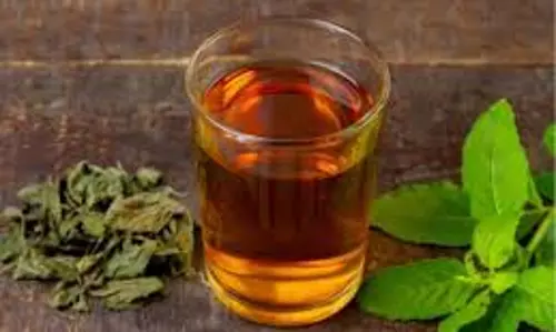 Benefits of Tulsi water: रोजाना तुलसी का पानी पीने मिलेंगे फायदे