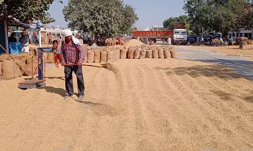 Haryana : पानीपत में धान की धीमी उठान ने किसानों के धैर्य की परीक्षा ली Haryana : पानीपत में धान की धीमी उठान ने किसानों के धैर्य की परीक्षा ली