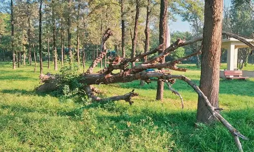 Haryana : बंद पड़े फव्वारे, उगी घास करनाल में अटल पार्क की ओर ध्यान देने की मांग