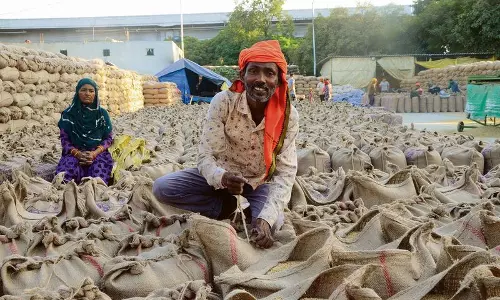Punjab में धीमी खरीद के कारण किसानों को हरियाणा में धान बेचना पड़ रहा