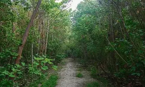 Assam के गेलेकी जंगल में स्थित कमांडो कैंप पर्यावरण कानूनों का उल्लंघन करते पाया गया Assam के गेलेकी जंगल में स्थित कमांडो कैंप पर्यावरण कानूनों का उल्लंघन करते पाया गया