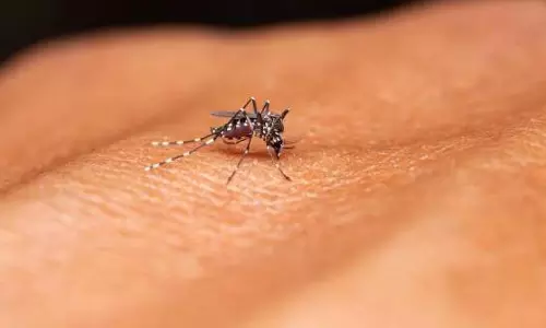 Mizoram में इस वर्ष डेंगू से एक मौत दर्ज की