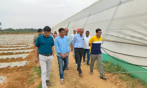 Dausa: जिला कलेक्टर ने खटवा में प्रगतिशील किसान के ऑर्गेनिक फार्म का किया अवलोकन Dausa: जिला कलेक्टर ने खटवा में प्रगतिशील किसान के ऑर्गेनिक फार्म का किया अवलोकन
