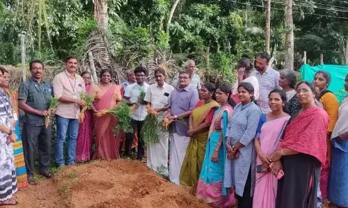 Alappuzha में गाजर की खेती में महिला किसानों ने आजमाया हाथ, खूब कमाया मुनाफा