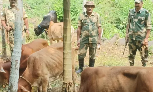 Meghalaya: बीएसएफ ने अंतरराष्ट्रीय सीमा पर मवेशी तस्करी की कोशिश नाकाम की Meghalaya: बीएसएफ ने अंतरराष्ट्रीय सीमा पर मवेशी तस्करी की कोशिश नाकाम की