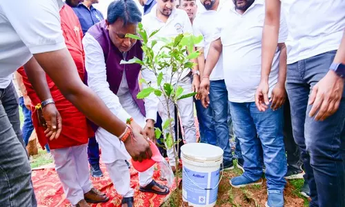 Odisha के मुख्यमंत्री माझी ने रायकला गांव में एक पेड़ मां के नाम अभियान के तहत पौधे लगाए
