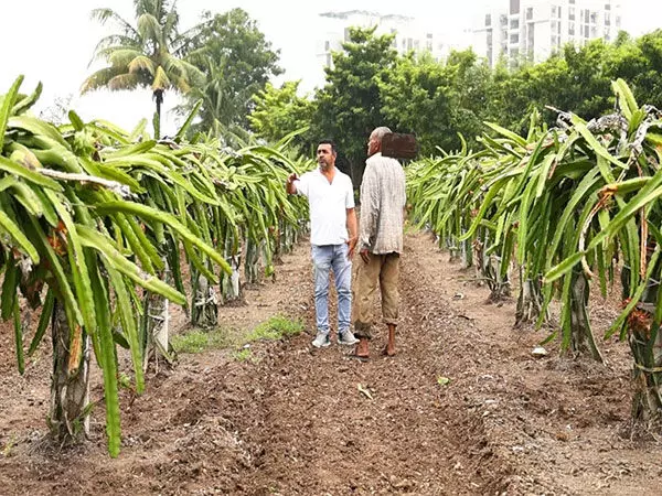 Gujarat: कृषि उत्कृष्टता के मार्ग पर गुजरात अग्रणी