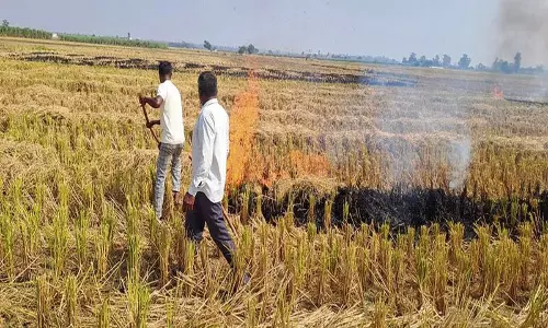 Haryan: फसल अवशेष में आग लगाने पर किसान पर मामला दर्ज