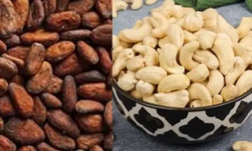 आइवरी कोस्ट और घाना ने कोको, काजू पर सहयोग बढ़ाने के लिए समझौता किया आइवरी कोस्ट और घाना ने कोको, काजू पर सहयोग बढ़ाने के लिए समझौता किया