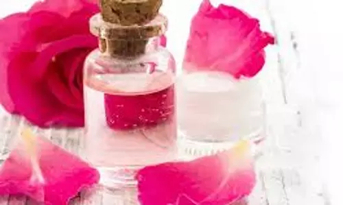Skin care: गुलाब जल में मिलाकर लगाएं ये चीज, मिलेंगे कई फायदे