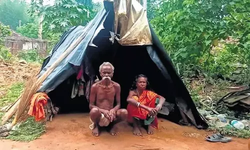 आवास योजना के लिए चयनित आदिवासियों ने सिरुमलाई वन रेंज के पास पट्टा मांगा